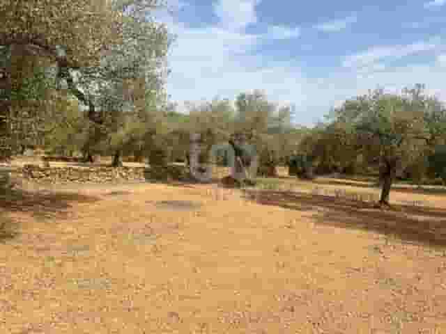 second image