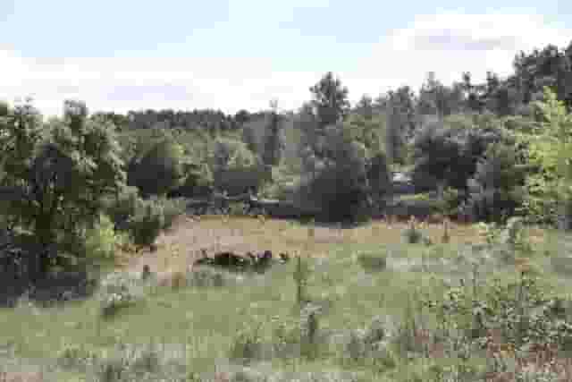 third image