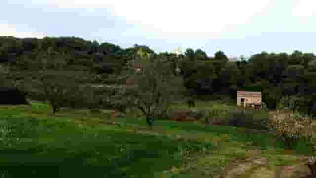 third image