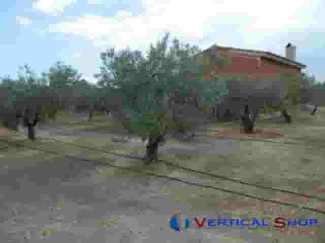second image