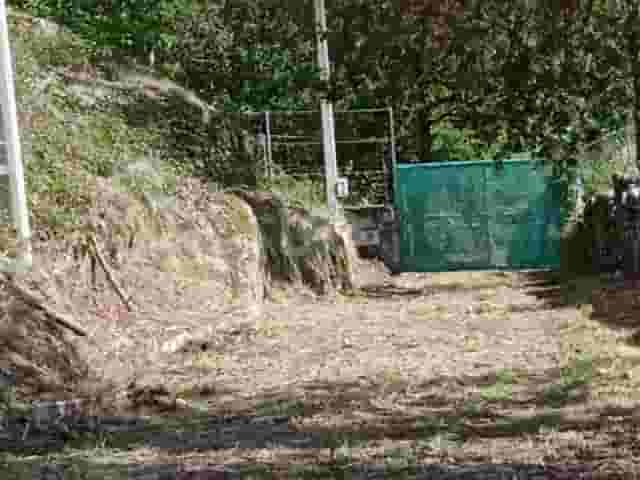 second image