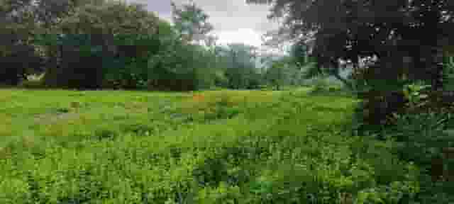 second image