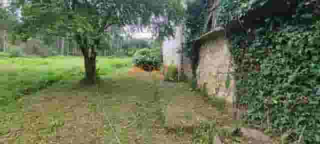 third image