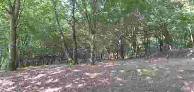 second image