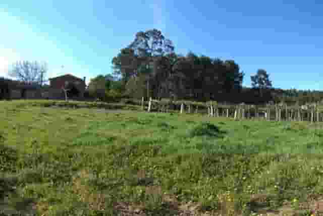 second image
