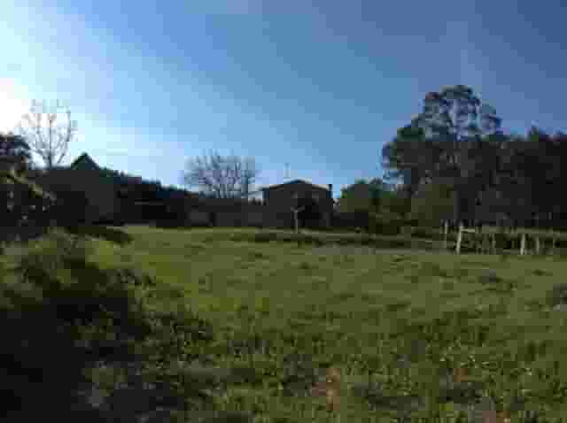 third image