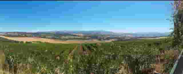 second image