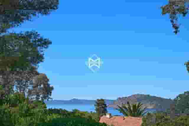 third image