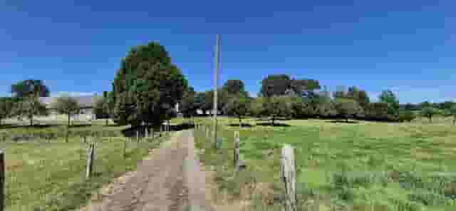 second image