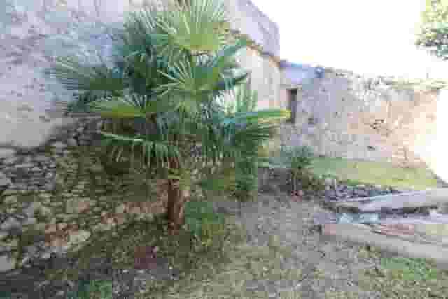 third image