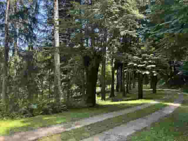 third image