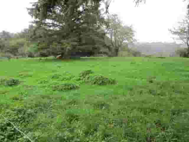 second image
