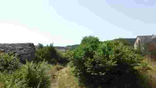 third image