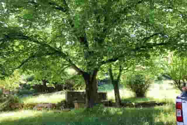 second image