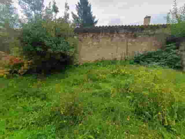 second image