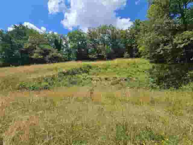 second image