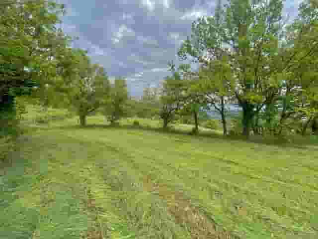 second image