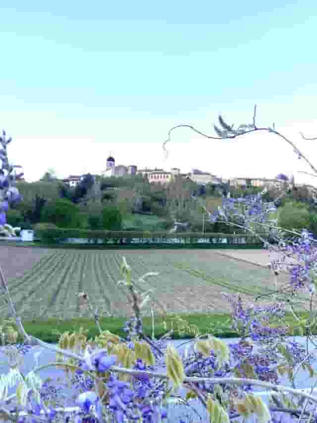 second image
