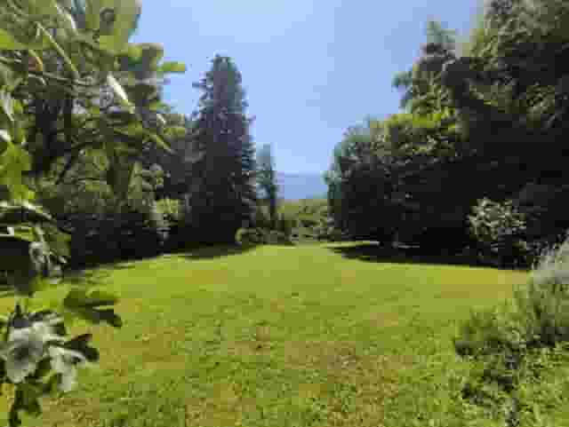 second image