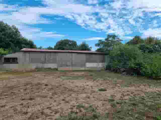 second image