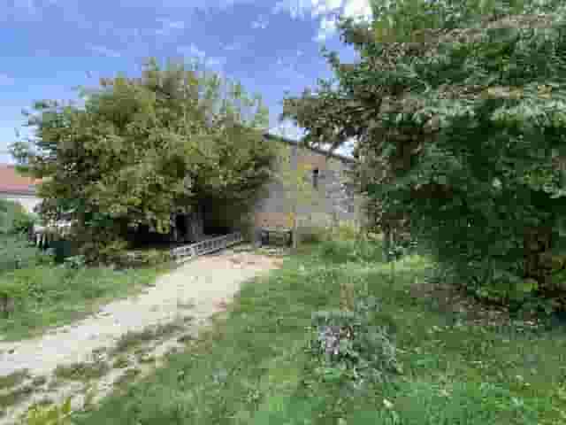 third image