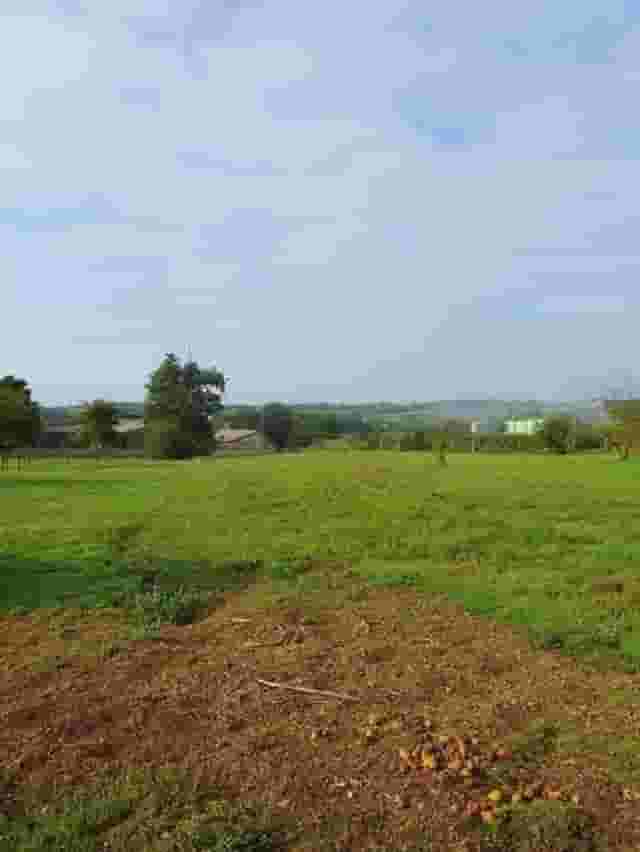 third image