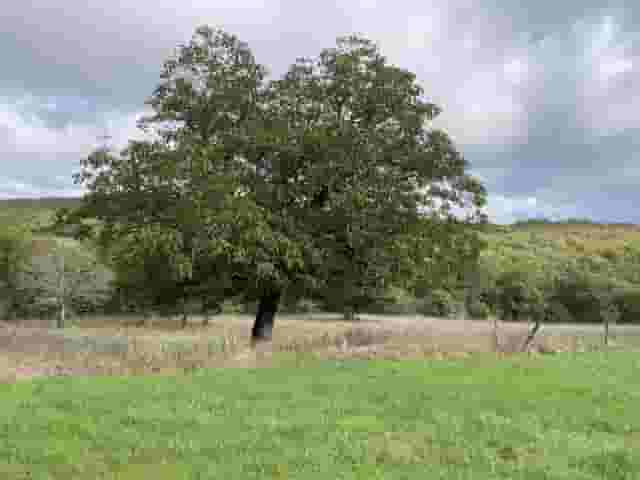 third image