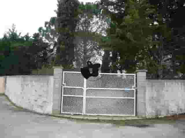 third image