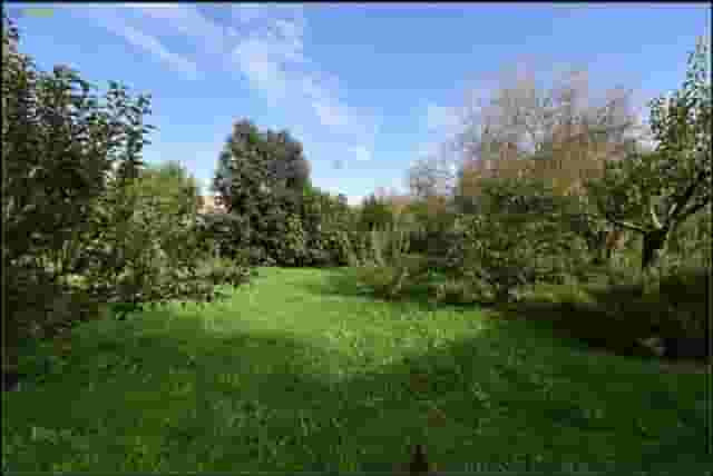 second image