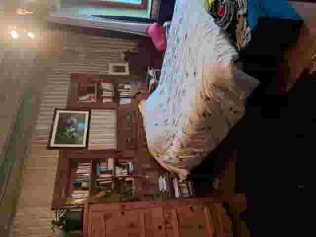 third image