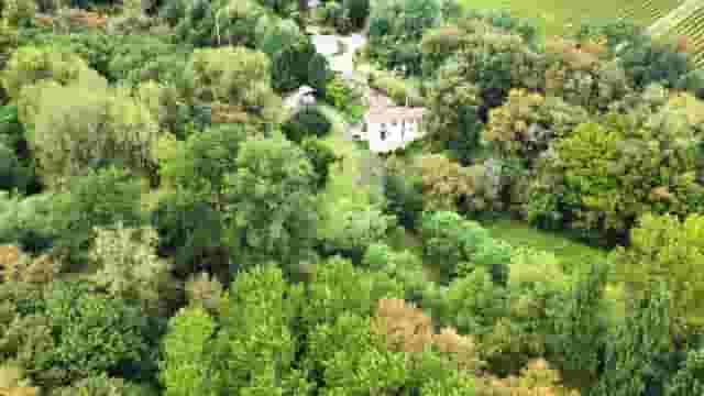 second image