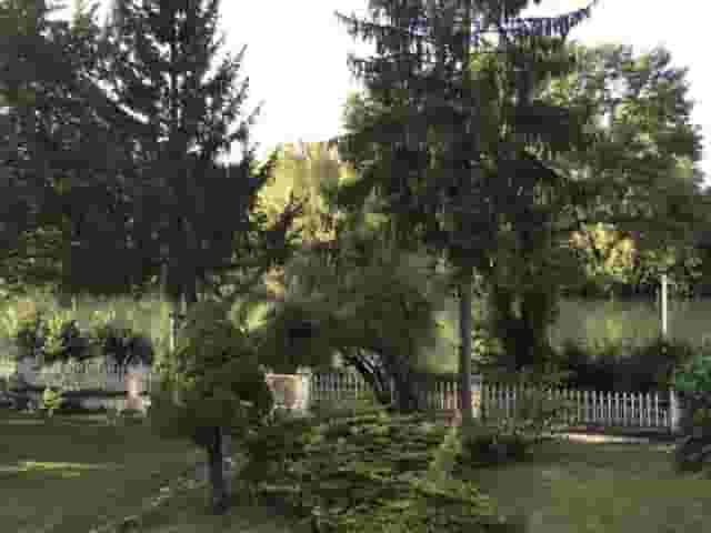 third image