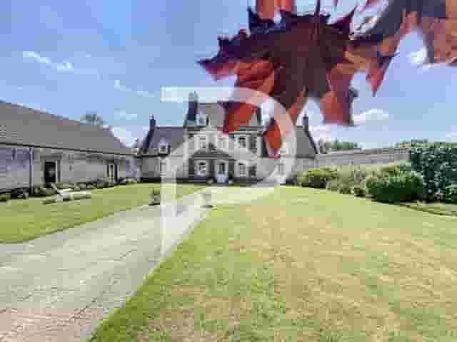 third image