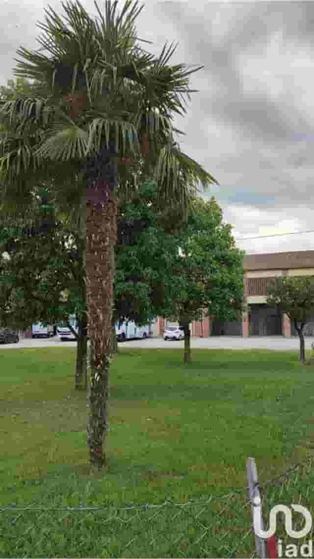 second image