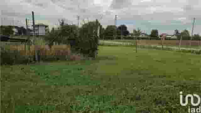 third image