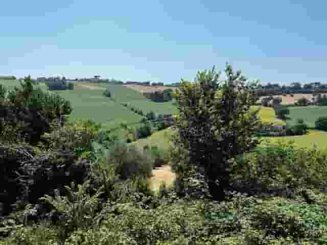second image