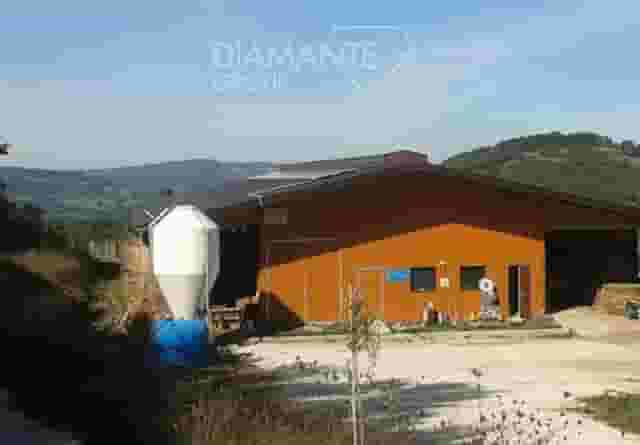 second image