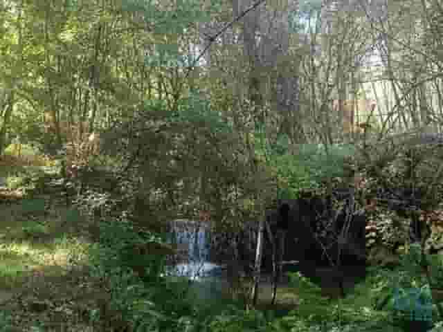 second image