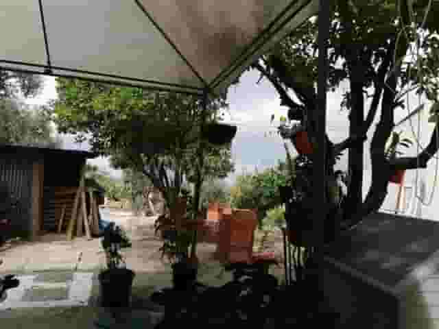 third image