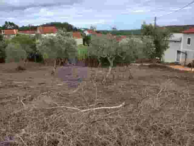 second image