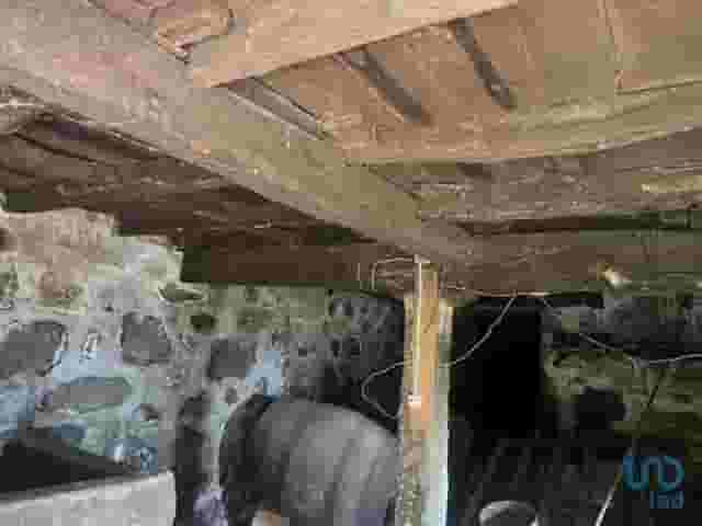 third image
