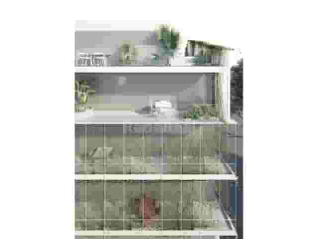 second image