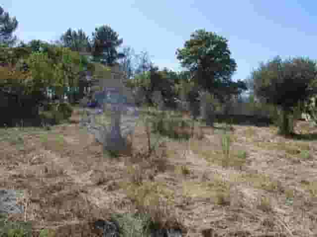 third image