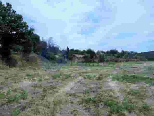 second image