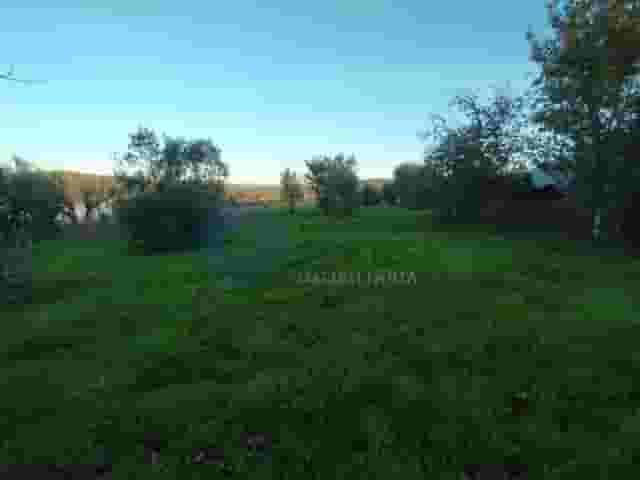 second image