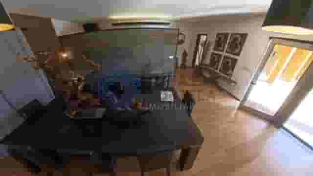 third image