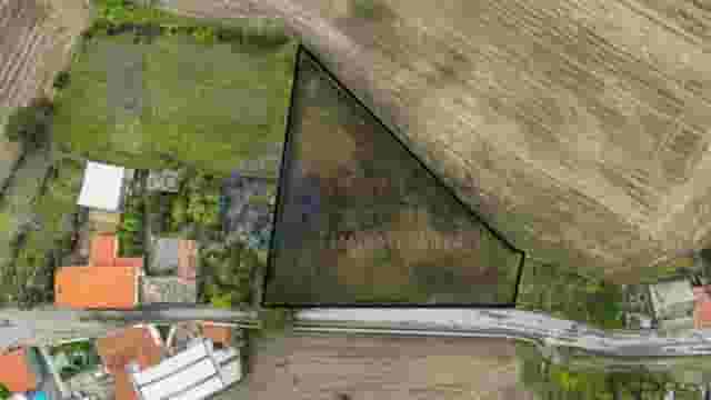 second image