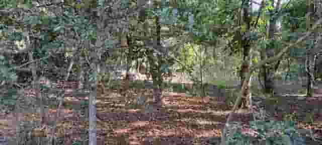 third image