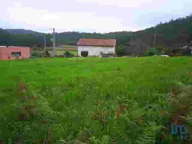 third image