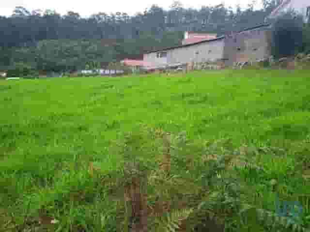 third image